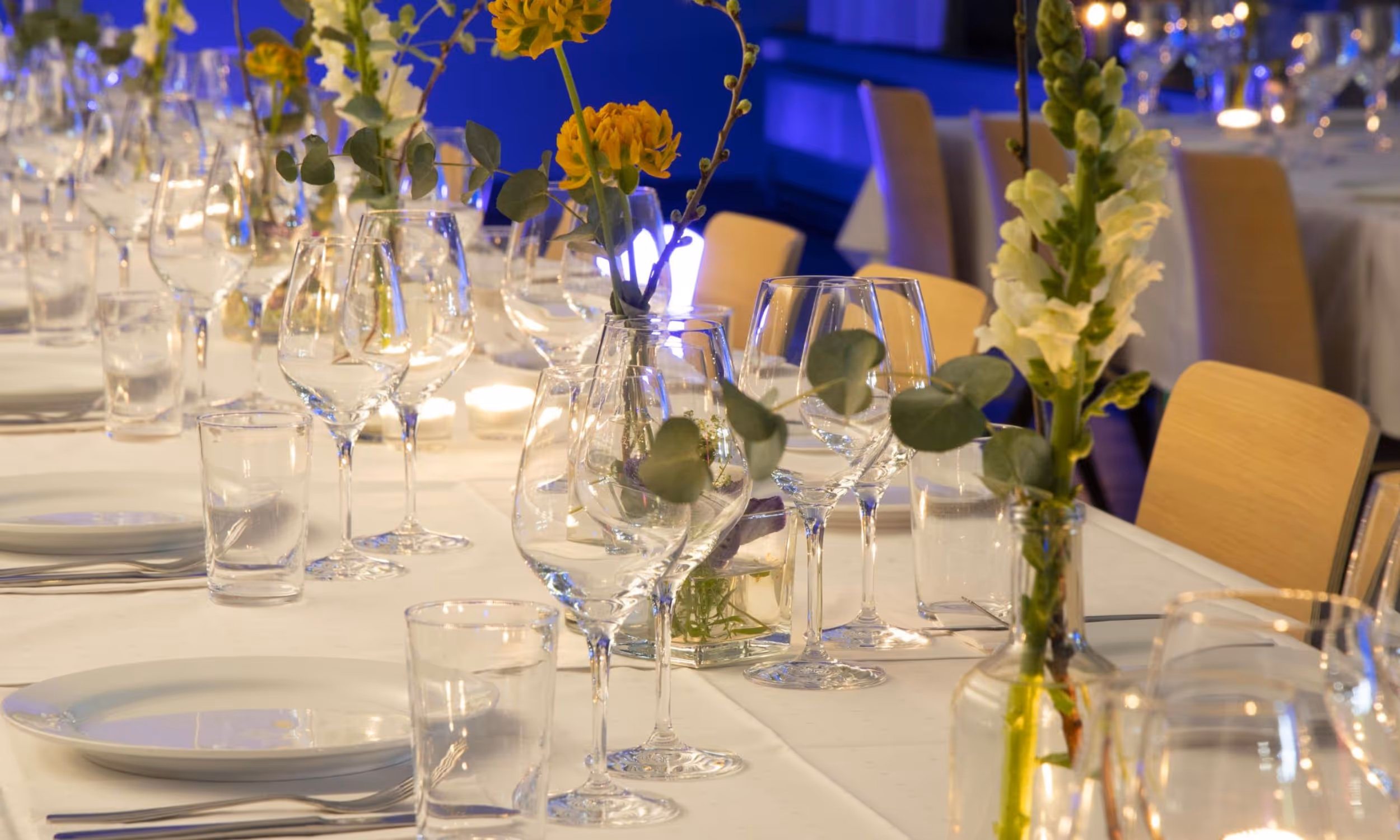 Elvelangs – bilde 3