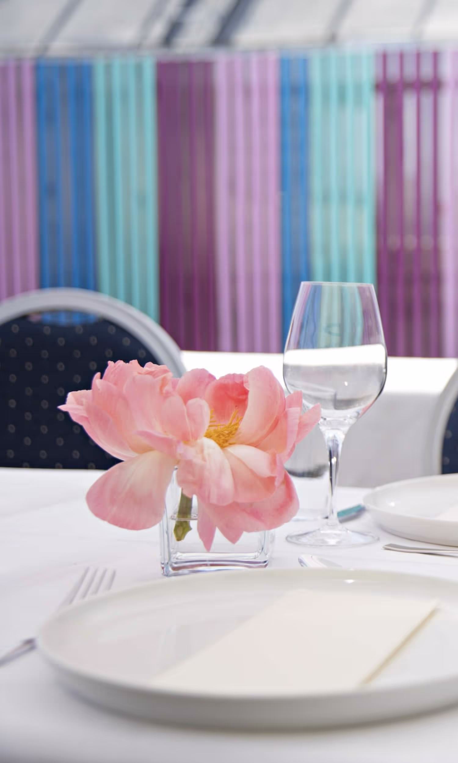 RoofGarden – bilde 9