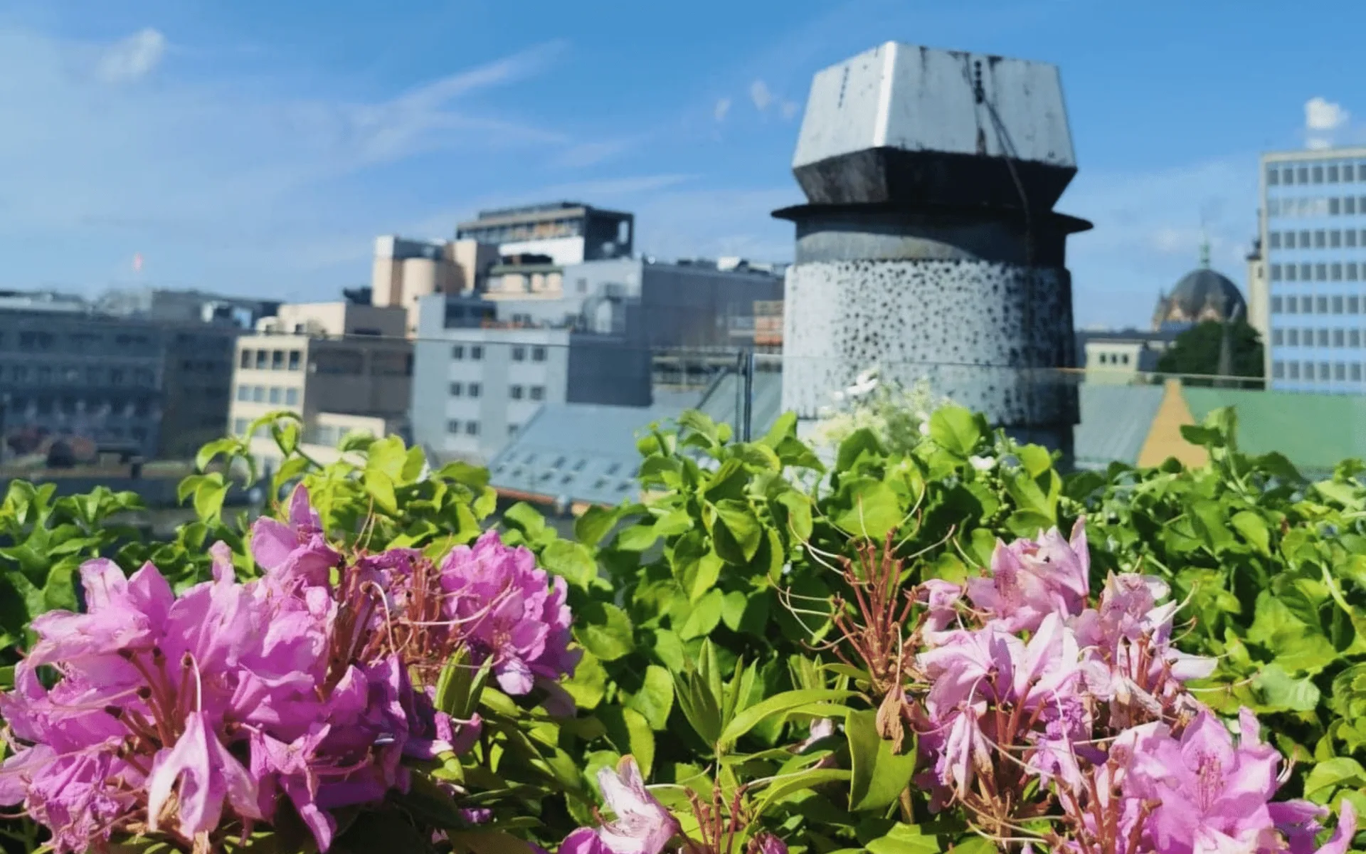 RoofGarden – bilde 7