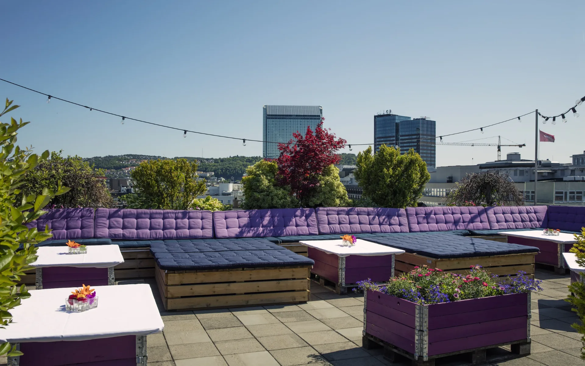 RoofGarden – bilde 5